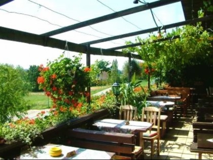 照片: Weinstube zum Kruckenberger